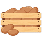 جا پیازی دو طبقه